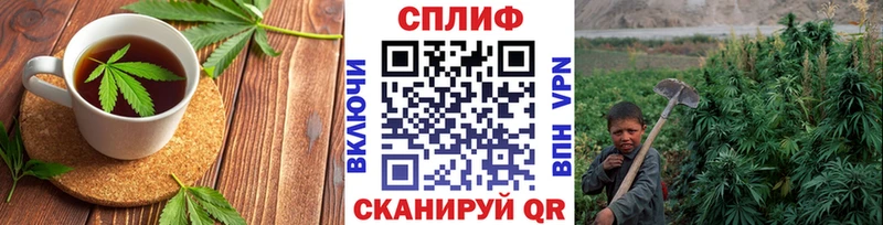 хочу наркоту  Бавлы  Еда ТГК марихуана 
