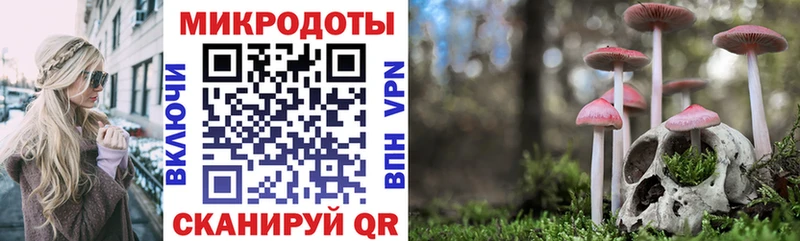 Псилоцибиновые грибы Cubensis  Бавлы 